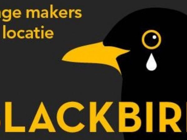 Blackbird