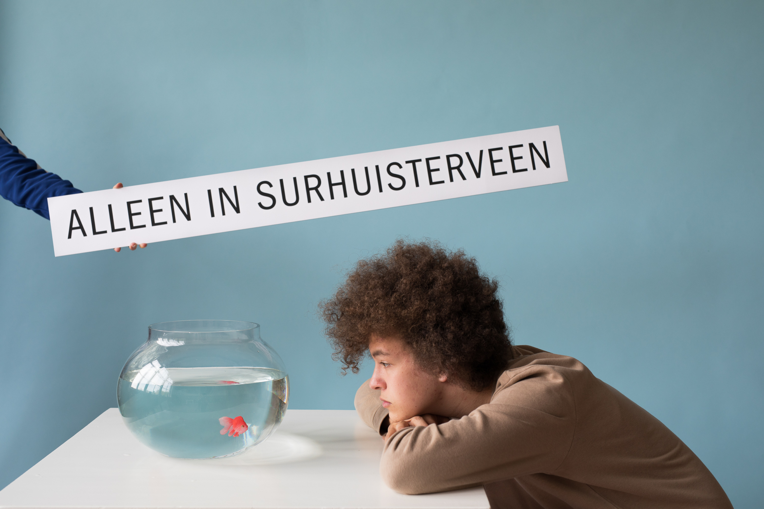 Meeuw Alleen in Surhuisterveen Tryntsje Nauta