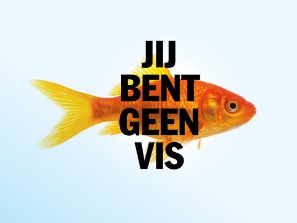 Meeuw maakt een film!